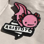axolotl project teaser